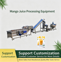 Équipement de transformation du jus de mangue, stérilisateur de jus de fruits, machine de concentration de jus de citron, ligne de production de jus de raisin