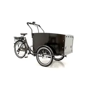 Delivery bike three wheel electric family cargo bike 250W rear motor cargo tricycle for sale