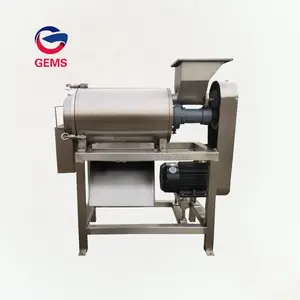 500kg/h Custard Apple Pulp Machine Small Scale Apple Pulper Apple Puree Making Machine