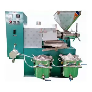 automatic cold press sesame coconut olive Oil Press Machine for commercial use squeeze pressing strips