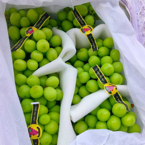 <span class=keywords><strong>Uva</strong></span> da Tavola Sweet Red Globe, Best Seller, Grande Formato, Fresca, per Succo e Snack, Commestibile, Premium, Confezione da 5kg in Vendita - Product Image 1