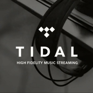 การสมัครสมาชิก Tidal Premium HiFi Plus ระยะเวลา 12 เดือน |   บัญชีสตรีมเพลงคุณภาพสูง - Product Image 3