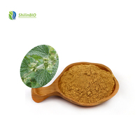 Pabrik SLBIO Menyediakan Bubuk Ekstrak Marrubium Vulgare White Horehound Berkualitas Tinggi 10:1