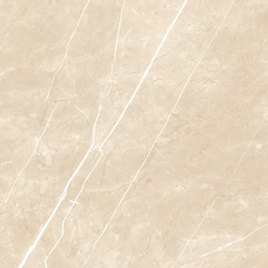 Explorez des finitions polyvalentes dans les carreaux en porcelaine de 600x600 mm en provenance d'Inde, qualité intemporelle avec des finitions modernes et haut de gamme en marbre. - Product Image 1