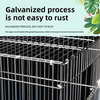 Cage d'élevage pour perroquets en fil galvanisé, avec plateau en plastique robuste et porte d'accès, vente en gros