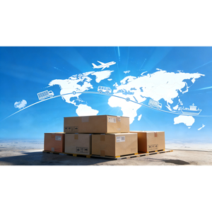 İnsan Interleukin 8 (IL-8) Sandviç ELISA Test Kiti 48T/96T - Product Image 6