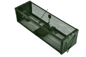Piège à souris et rats vivants, <span class=keywords><strong>cage</strong></span> de capture humaine pour animaux, répulsif antiparasitaire d'intérieur pour rongeurs, été, 100 pièces - Product Image 2