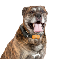 2024 plus récent Pet Smart GPS Tracker Mini GPS Trackers Étanche Bluetooth Localisateur Traceur Pour Pet Chien Chat Smart Tracker