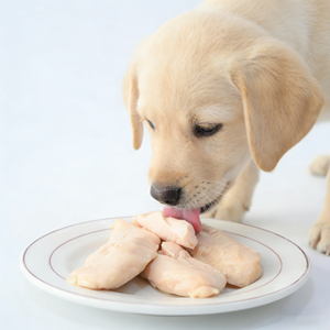 Golosinas Frescas de Alta Calidad para Perros, Pechuga de Pollo Asada al Vapor con Alto Contenido de Proteínas, Golosinas Calmantes para Perros, Sabrosas y Fáciles de Digerir - Product Image 1
