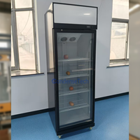 Congélateur vertical à refroidissement par air, ventilé, avec contrôle numérique de la température, pour bar à jus