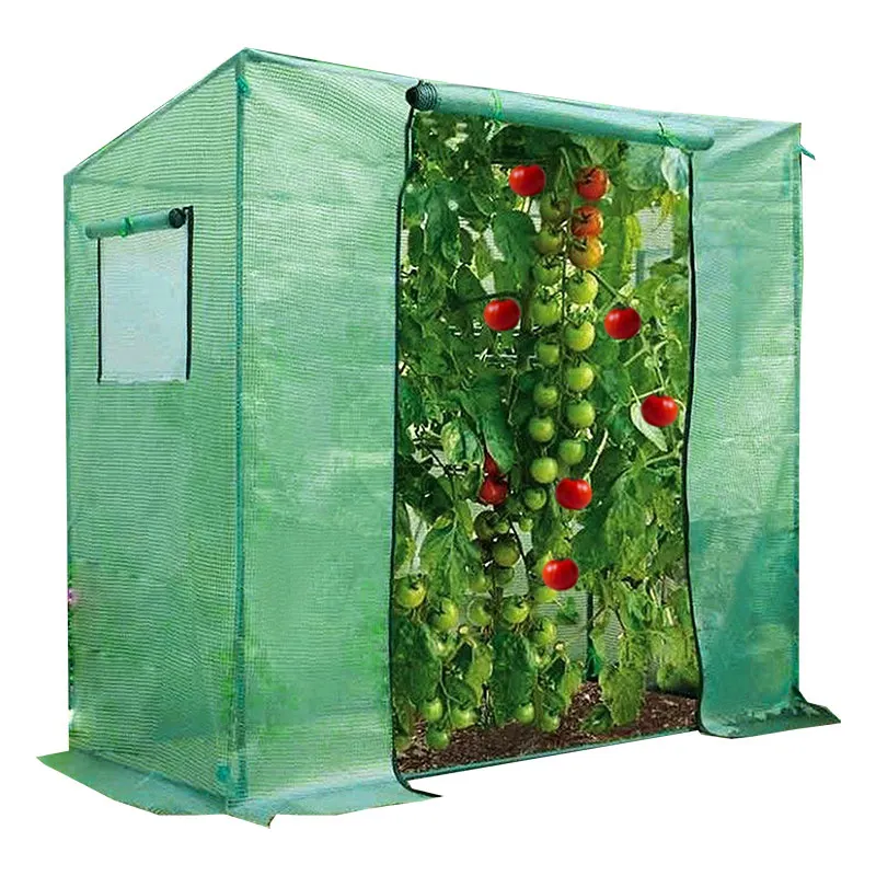 Mini Tomaat Groeiende Draagbare Staal Plastic Pe Mesh Tuin Kleine Polytunnel Walk-In Kas Met Versterkte Frame & Cover