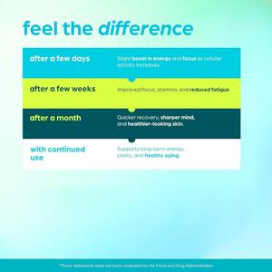 Suplemento de NAD de Alta Potencia con Té Verde y Astaxantina para Mujeres y Hombres, Apoyo Energético, Suplemento Antienvejecimiento, Cápsulas de NAD - Product Image 6