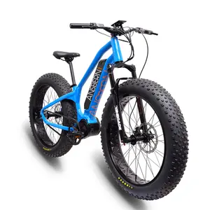 2020 새로운 전체 Bafang 울트라 모터 750W/1000W Fatbike 전기 자전거 인도 26 인치 6061 알루미늄 합금 프레임