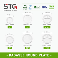 STG Custom 10 inch 3-delige ronde bagasse composteerbare wegwerp borden CE gecertificeerd voor feestjes en evenementen, BSCI fabriekaudit geslaagd