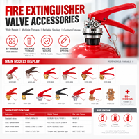 Vanne d'extincteur certifiée CE en laiton pour extincteurs à poudre sèche ABC de 1 à 12 kg, équipement de lutte contre l'incendie disponible en OEM