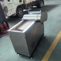 Mingan Hoge-capaciteit Gemotoriseerde Snijder/Shredder/Dicer 750W 220V/380V 10kg/uur Machine voor de verwerking van geconserveerd fruit 1 jaar garantie