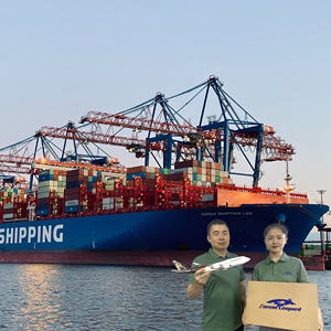 10 лучших грузоотправителей грузовой агент из Китая в США Ddp Fba сервис для США экспедитор фрахт Чжэцзян экспедитор - Product Image 4