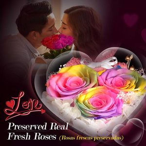 Rosa Preservada Real de 5-6 cm, Día Eterno, <span class=keywords><strong>Te</strong></span> <span class=keywords><strong>Amo</strong></span>, Roja y Negra, <span class=keywords><strong>en</strong></span> Caja con Forma de Corazón con Collar de Osito de Peluche - Product Image 5