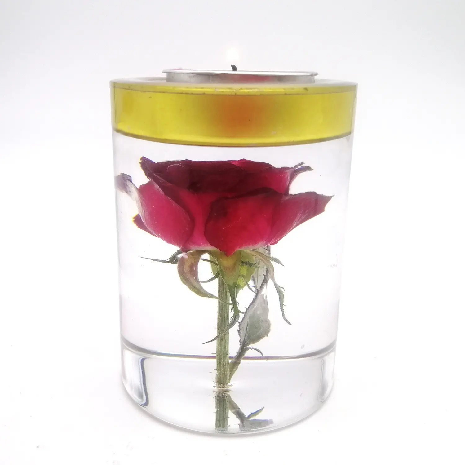 Preserved flower candle holder plant specimen in resin epoxy ball rose candlestick