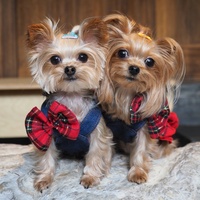 Robe pour animaux de compagnie en jean à carreaux avec nœud papillon, jupe sans manches mignonne pour petits chiens Bichon Frise Yorkie