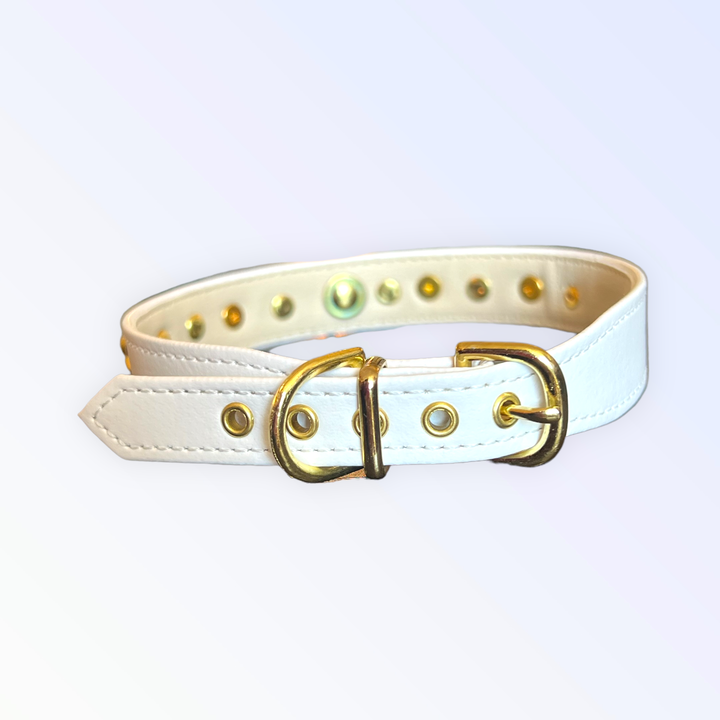 Modern Luxury TD Popstar Studded PU Collar with Alloy Elegant Cat and Dog Leash Personalized with Rivet Decoration for Walking