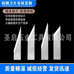 เครื่องสร้างต้นแบบด้วยคอมพิวเตอร์พร้อมใบมีดสั่นสะเทือนทังสเตนคาร์ไบด์ 16 25 35 45 60 สำหรับการผลิตใบเลื่อยจากไต้หวัน ชุน - Product Image 2