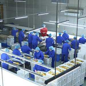 Hạt dẻ rang đóng gói, giá sỉ thấp, ăn liền, đồ ăn nhẹ, thương hiệu tốt nhất - Product Image 6