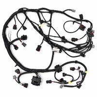 Arnés de Cableado General para Motor, Núcleo de Cobre, IP67, Conector Automotriz Personalizado, PVC