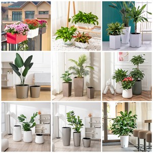 Modern <strong>Plastic</strong> <strong>Pot</strong> for Plants, Simple Flower <strong>Pot</strong> Floor <strong>Table</strong> for Hotel, pp <strong>Plastic</strong> Container Planter for Green Plants with Tray - Product Image 6