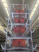 Nouvelle cage à poulets de chair de type H pour usage agricole, démontage pratique, nettoyage facile, acier galvanisé
