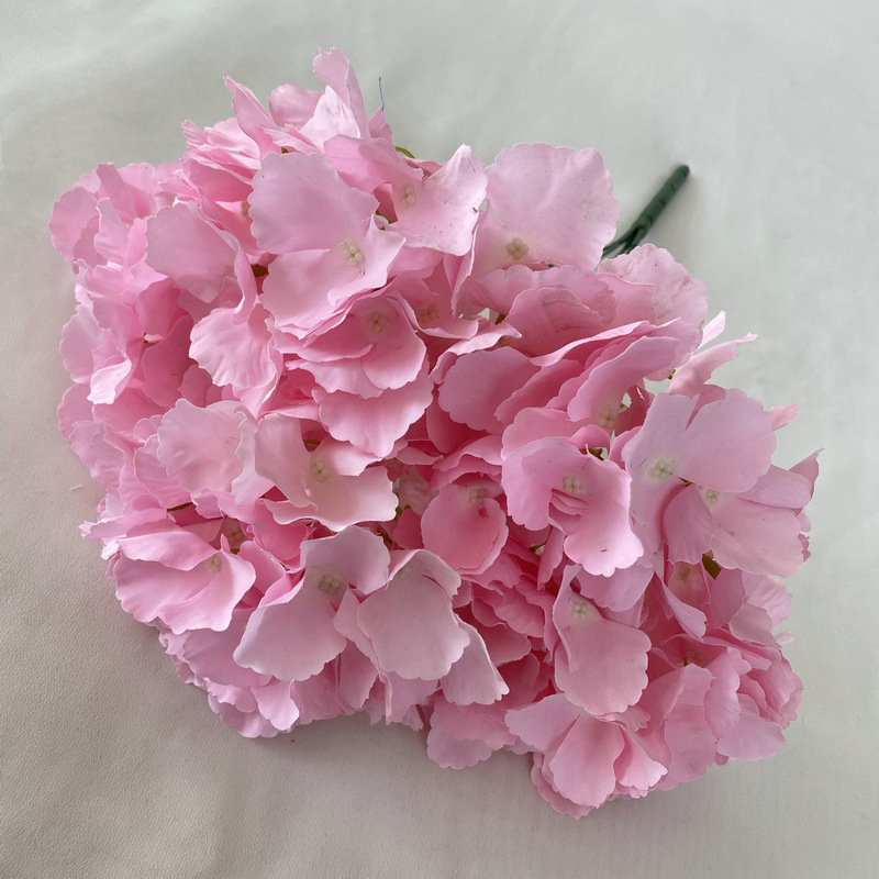 Hortensia de cinco cabezas rosa oscuro