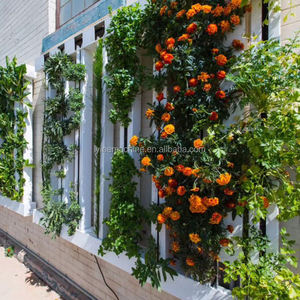 Lyine 2025 Nouvelle conception <span class=keywords><strong>Tour</strong></span> de culture hydroponique à fermeture éclair personnalisée, Serres agricoles murales hydroponiques à fermeture éclair, Hydroponie verticale pour la laitue - Product Image 5