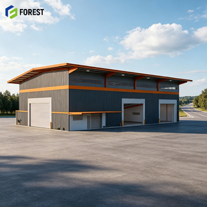Estructura de Acero Personalizada para Taller Industrial, Edificio de Fabricación Prefabricado de Alta Capacidad - Product Image 1