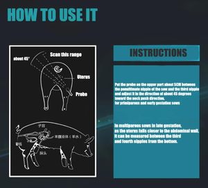 Equipo de Ultrasonido Veterinario para Pruebas de Gestación Animal con Sonda Lineal Rectal de 7.5Mhz para Ganado, Caballos, Camellos y Vacas - Product Image 5