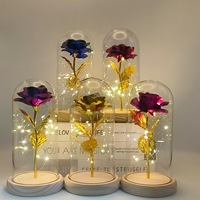Idées de cadeaux de la Saint-Valentin de fleurs préservées Rose dorée enchantée avec des lumières LED dans des ornements de rose éternelle en dôme de verre