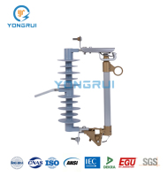 Fusibles en silicone et en porcelaine 33KV 36KV 100/200A - Vente directe d'usine, produits phares à l'étranger