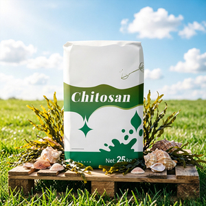 Poudre de chitosane de qualité alimentaire en vrac, polysaccharide naturel, agent épaississant, matière première - Product Image 4