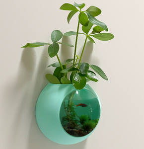 Maceta de Silicona Adhesiva para Pared, Terrario Colgante Transparente, Decoración para Hogar y Oficina, Novedad 2025 - Product Image 1