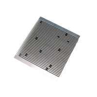 Radiateur dissipateur de chaleur en aluminium extrudé T5 personnalisé avec angle rond et motifs plats anodisé et enduit de poudre usiné CNC