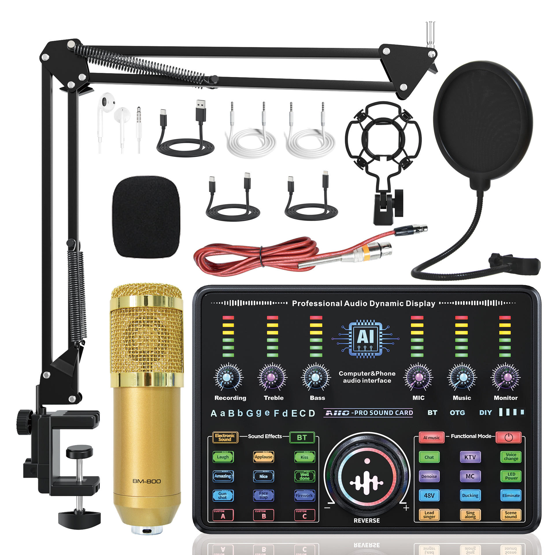 BM800(Gold)+Ai10 sound card