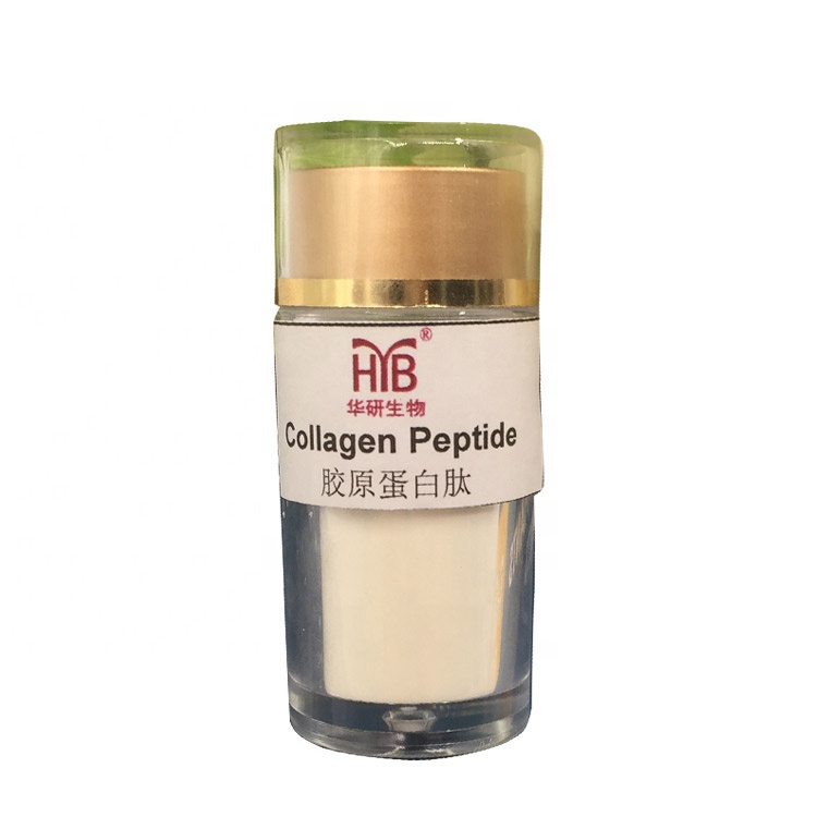 Male Enhancement Extract Health food ingredients Oyster active collagen peptide Extract