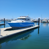 Bateaux de pêche sportive de luxe en aluminium de 9,6 m (30 pieds) avec cabine - Bateau à cabine Cuddy haute vitesse à vendre