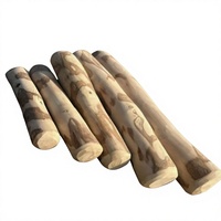 Jouet à mâcher pour chien en bois de café naturel, bâtonnet de dentition entièrement biodégradable, accessoire de mastication en bois pour chien