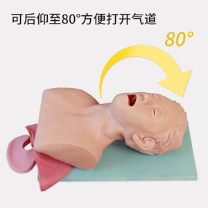 Simulateur d'entraînement à l'intubation endotrachéale Jike, modèle d'intubation endotrachéale pour adultes - Product Image 5