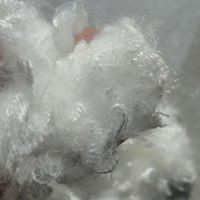 Fibre de polyester creuse siliconée pour rembourrage de matelas, fibre de polyester vierge siliconée 1.2D51mm