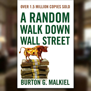 A Random Walk Down Wall Street de Burton G. Malkiel, libro en formato de bolsillo, éxito de ventas para adultos - Product Image 1