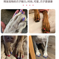 Stylo de manucure pour animaux de compagnie en polypropylène effaçable à tête souple BDY TikTok Explosions, 1 mm, 12/24 couleurs, impression de logo, DIY Graffiti, peinture à la main