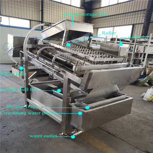Máquina peladora de camarones de buena calidad/máquina peladora de camarones a la venta/máquina peladora de camarones de producción por lotes - Product Image 2
