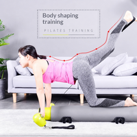 Kit de barres de résistance Pilates YS Brand, entraîneur de core pour yoga, équipement de gym portable à domicile, entraînement de mise en forme corporelle, bandes d'exercice PE, 1 an