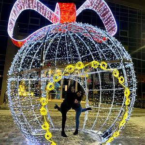 Arche lumineuse de Noël sphérique avec une forme 3D audacieuse pour une décoration de paysage festif saisissante - Product Image 1